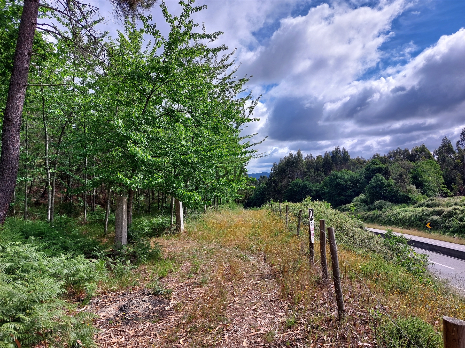 Quinta Com Muro Em Pedra Natural, Terrenos e Quintas, à venda, Leiria